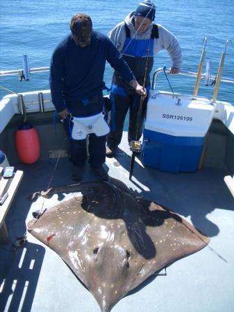 193 lb Common Skate by Paul Cockburn