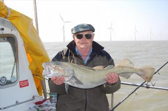 14 lb 4 oz Cod by albert