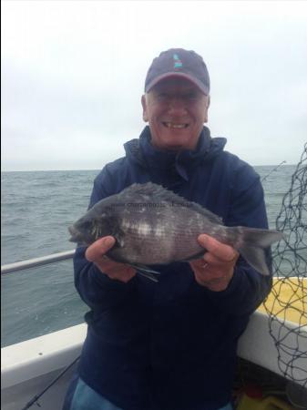 2 lb Black Sea Bream by Chris