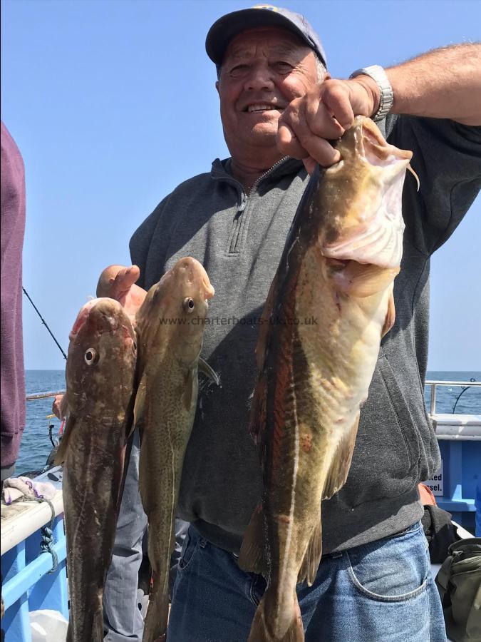 7 lb Cod by Dave waters Bridlington 6/7/2018