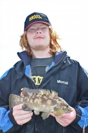 1 lb Ballan Wrasse by Ben with a small ballan