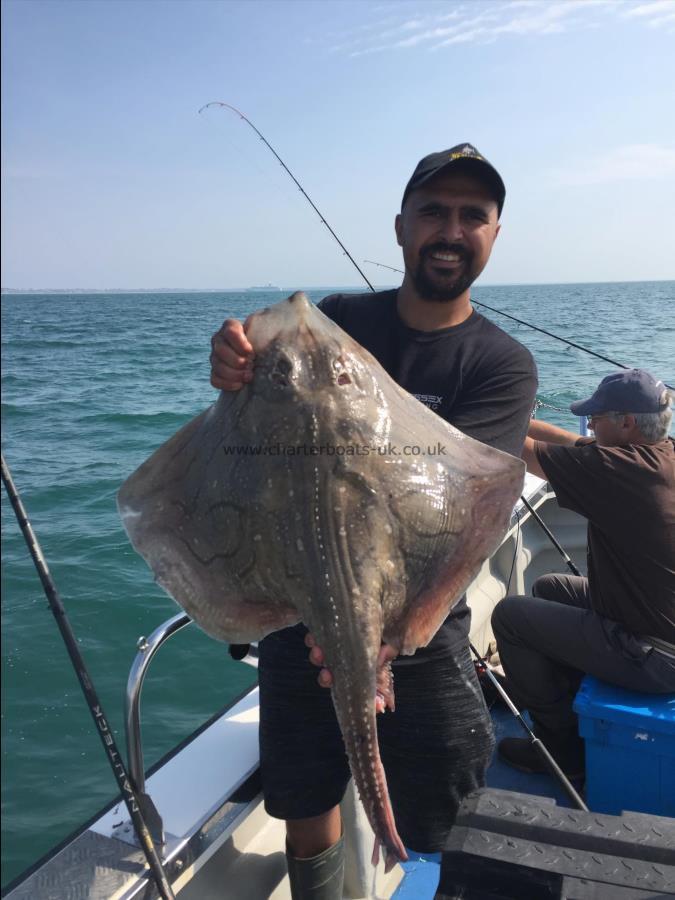 16 lb Undulate Ray by Jay