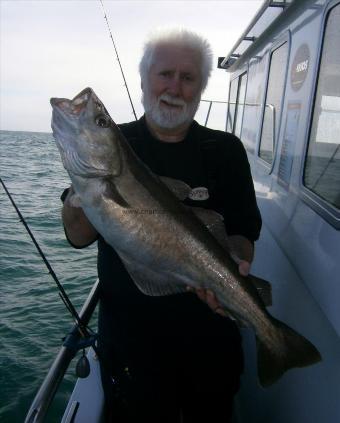 14 lb 8 oz Pollock by Paul