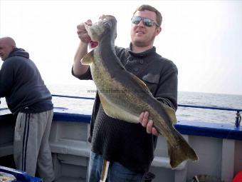 10 lb 7 oz Pollock by Unknown