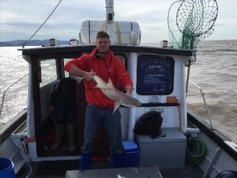 9 lb 8 oz Smooth-hound by Unknown