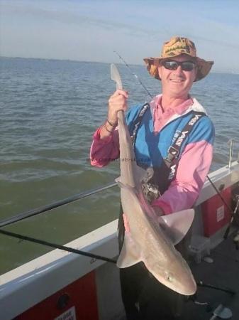 14 lb Starry Smooth-hound by Unknown