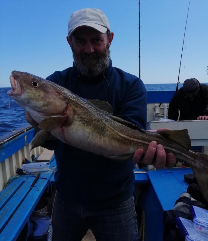 6 lb 6 oz Cod by Unknown