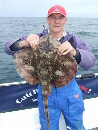 9 lb 8 oz Undulate Ray by Dodgey Dave Barton