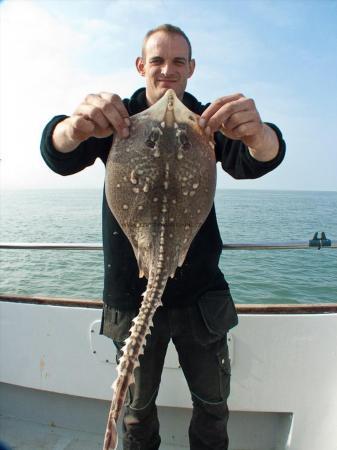 4 lb Thornback Ray by Mark Cain