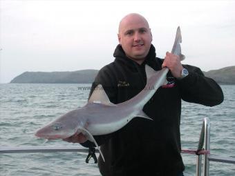 15 lb 9 oz Starry Smooth-hound by Paul Whittle