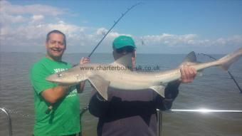 15 lb Starry Smooth-hound by Unknown