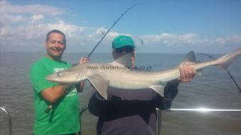 15 lb Starry Smooth-hound by Unknown