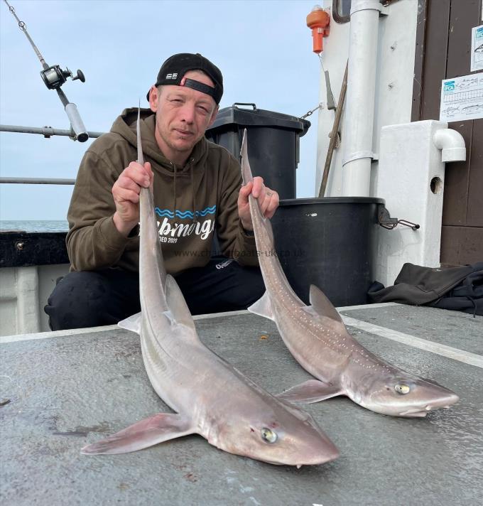 7 lb Smooth-hound by Unknown