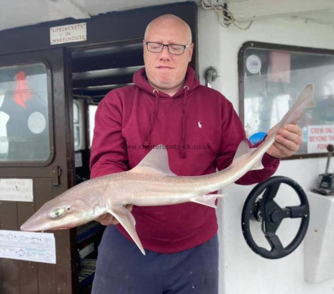 5 lb Smooth-hound by Unknown