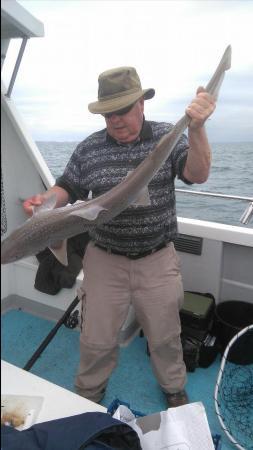 11 lb Smooth-hound (Common) by Ray