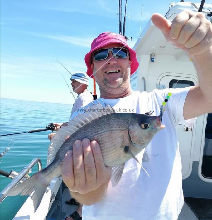 1 lb 4 oz Black Sea Bream by Mark