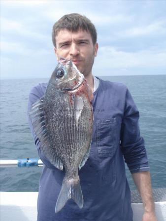 2 lb 6 oz Black Sea Bream by Andrei