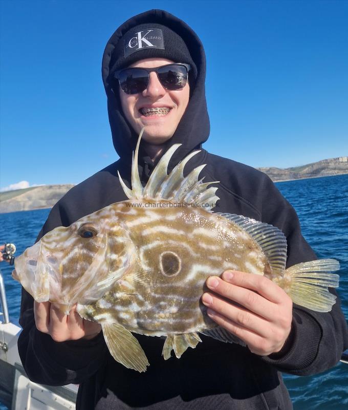 2 lb 14 oz John Dory by Jamie