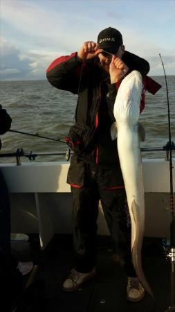 30 lb 6 oz Conger Eel by nathan