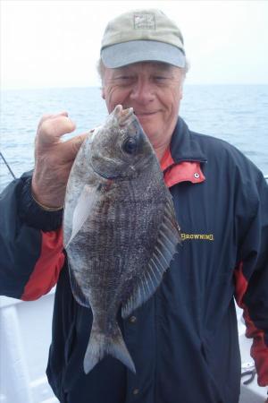 2 lb Black Sea Bream by Mick