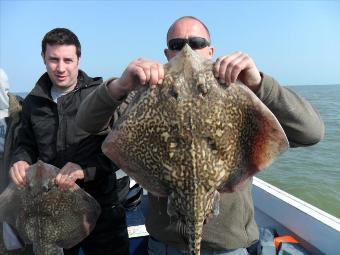 7 lb 4 oz Thornback Ray by Dave