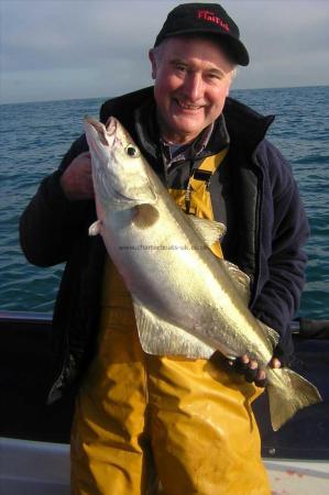 13 lb Pollock by Trevor Lockyer