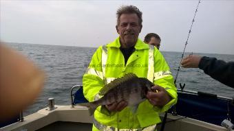 3 lb Black Sea Bream by Stephen Wake