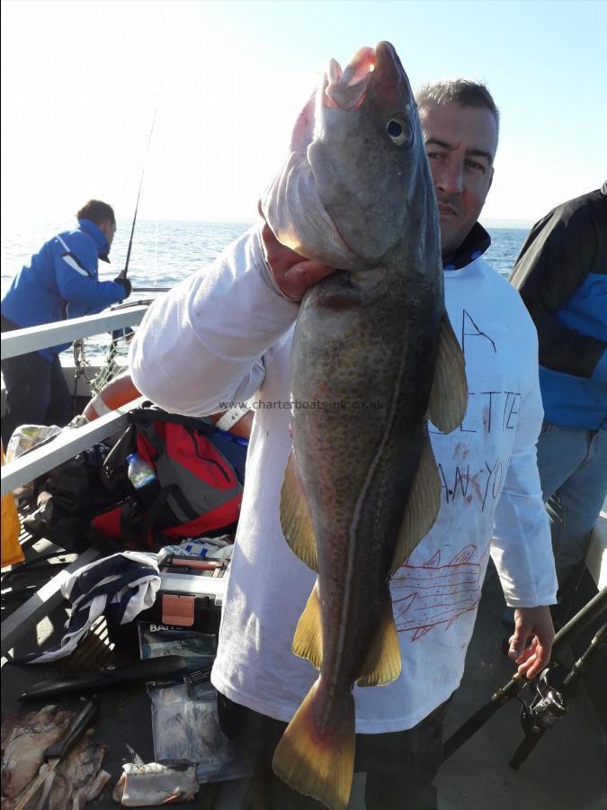 12 lb 1 oz Cod by Steve booth