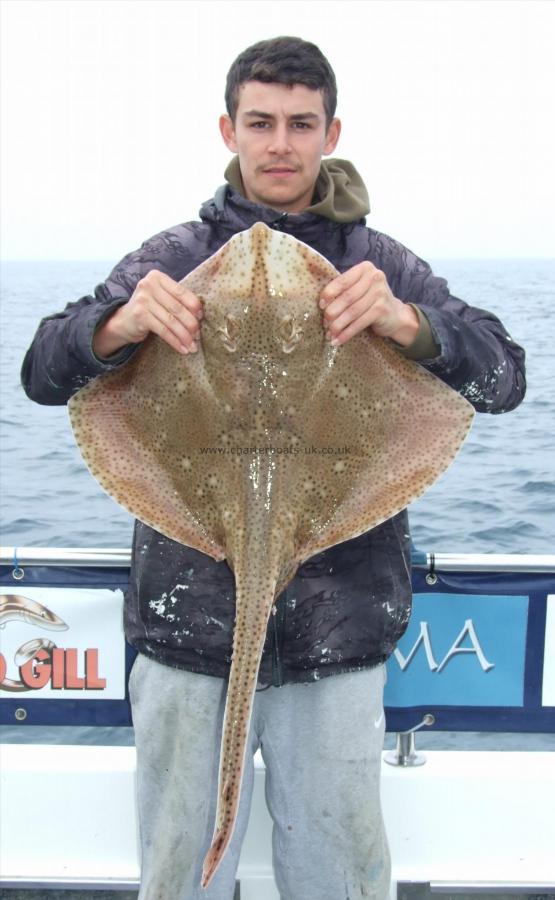 13 lb Blonde Ray by Drew Goble