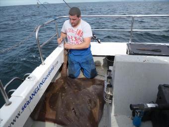 150 lb Common Skate by Chris