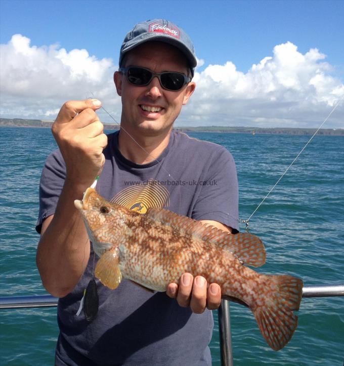 2 lb 8 oz Ballan Wrasse by Rich H