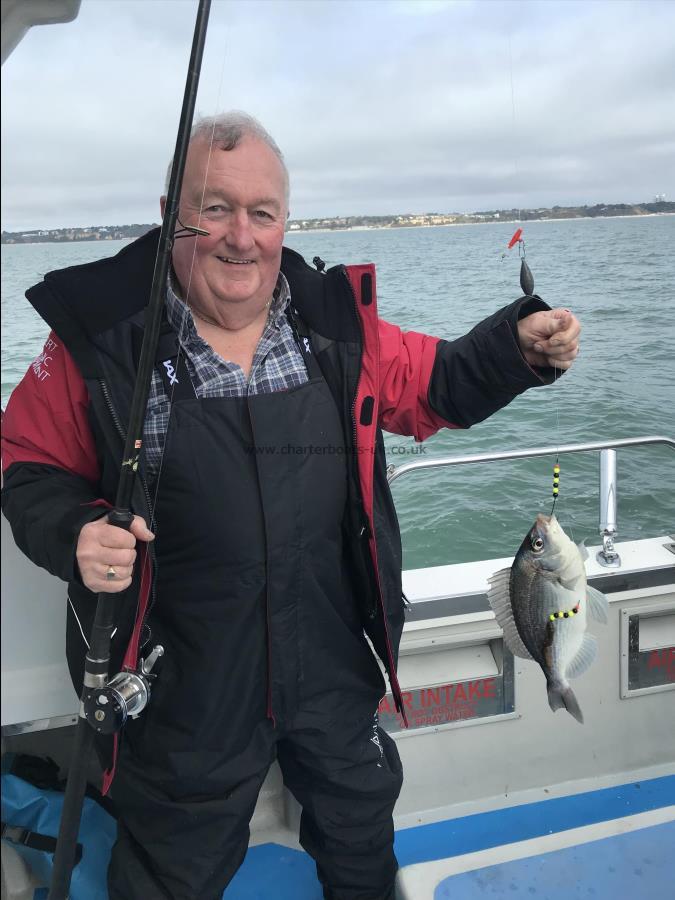 1 lb Black Sea Bream by Allan