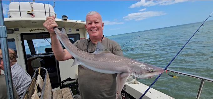 11 lb Smooth-hound by Steve