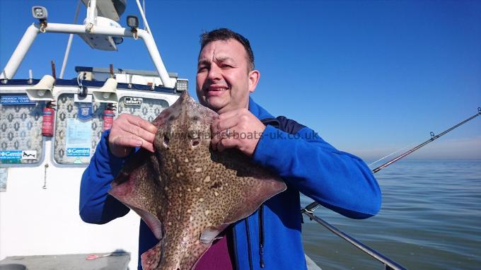 6 lb 4 oz Thornback Ray by Dave from Essex
