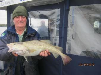 7 lb Cod by Unknown