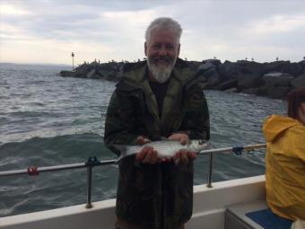 1 lb 6 oz Thick-Lipped Grey Mullet by Andy Sheader