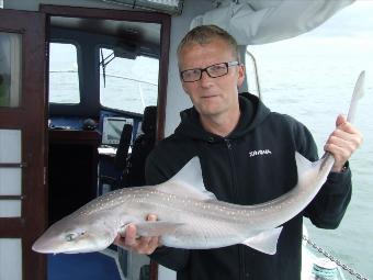 10 lb 2 oz Starry Smooth-hound by stephen