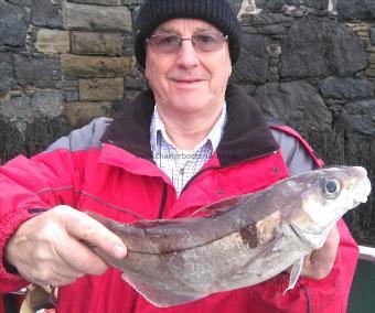 2 lb 8 oz Haddock by peter henk