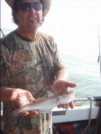 1 lb 4 oz Whiting by scott