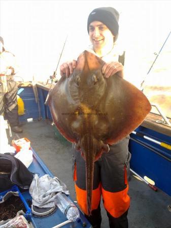 20 lb Blonde Ray by Unknown