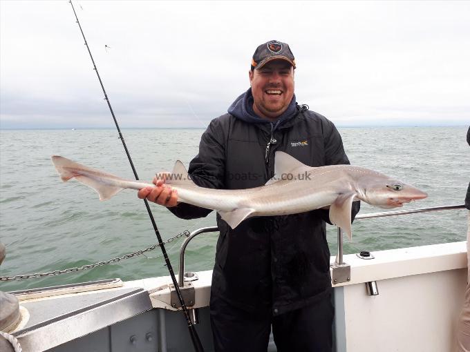14 lb 8 oz Smooth-hound (Common) by Chris Barber
