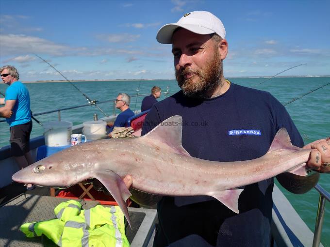 7 lb 6 oz Starry Smooth-hound by Gavin roach