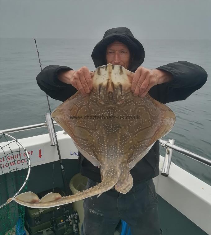6 lb Undulate Ray by Billy