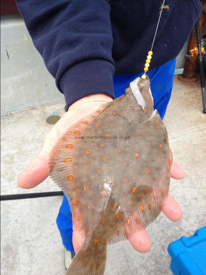 14 oz Plaice by Nev A