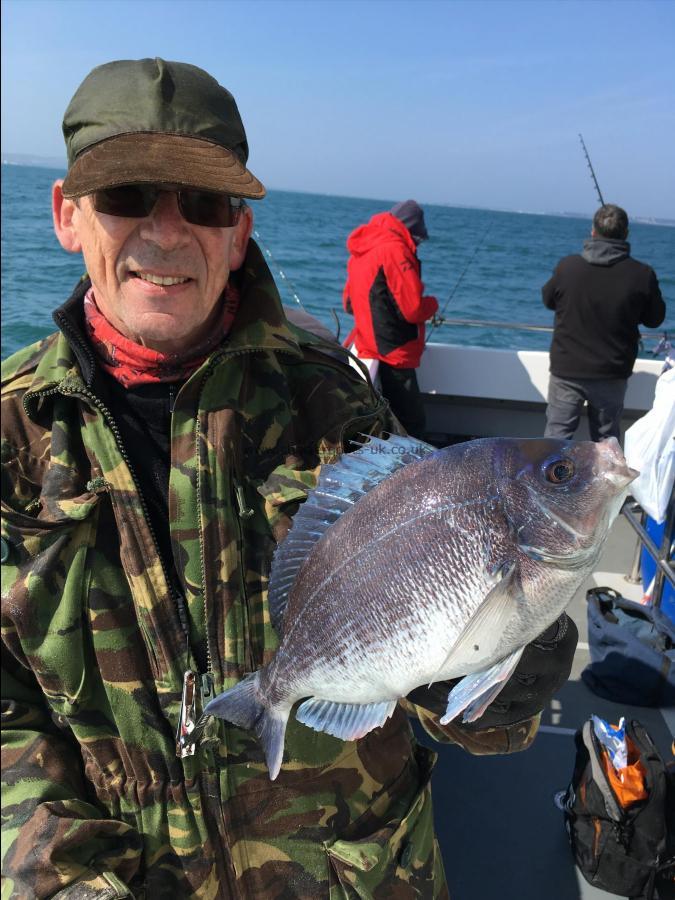 2 lb 8 oz Black Sea Bream by Harvey