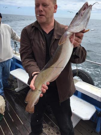 7 lb Ling (Common) by chris 12/7/2016 one of many fish caught