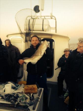 14 lb 2 oz Cod by Unknown