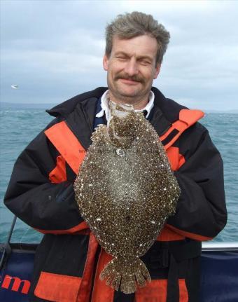5 lb Brill by Paul Leatherdale