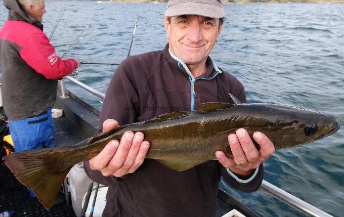 7 lb 8 oz Pollock by pat