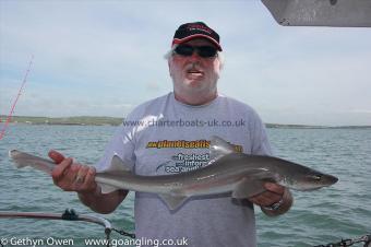 7 lb Starry Smooth-hound by David